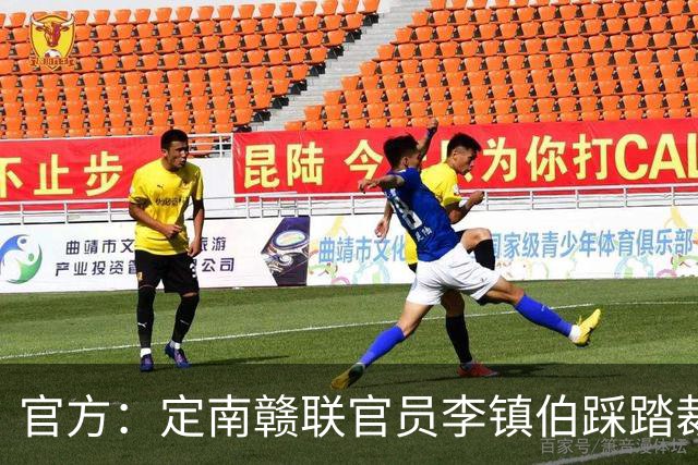 官方：定南赣联官员李镇伯踩踏裁判脚部，罚款11万+禁止入场7个月